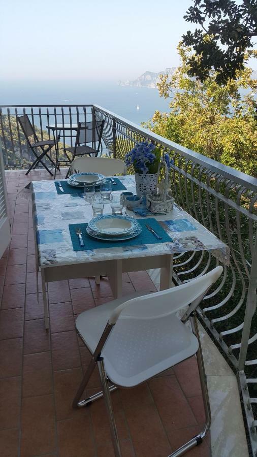 Acquamarina Accommodation Massa Lubrense Bagian luar foto